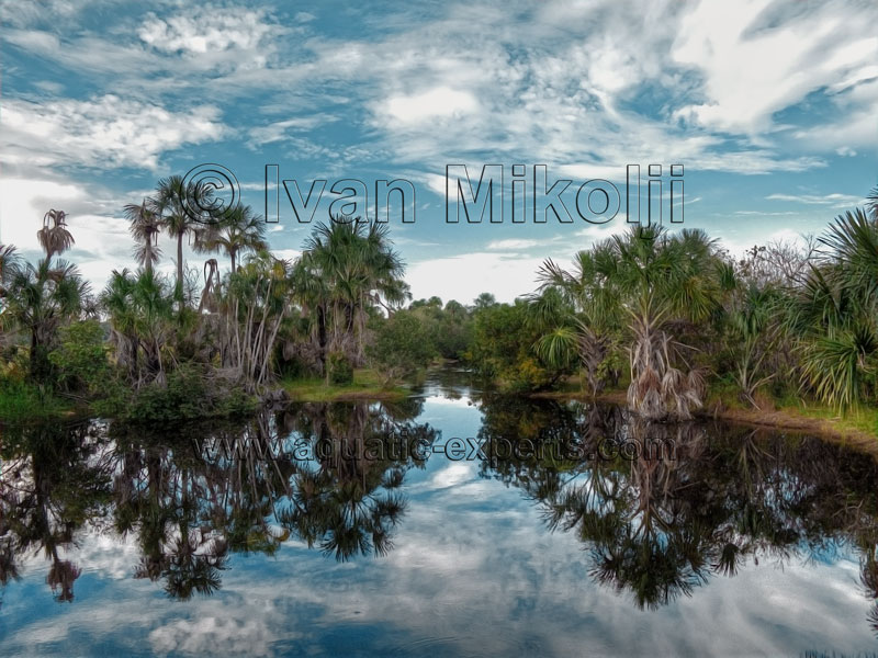 IMAGENES DEL ESTADO APURE
